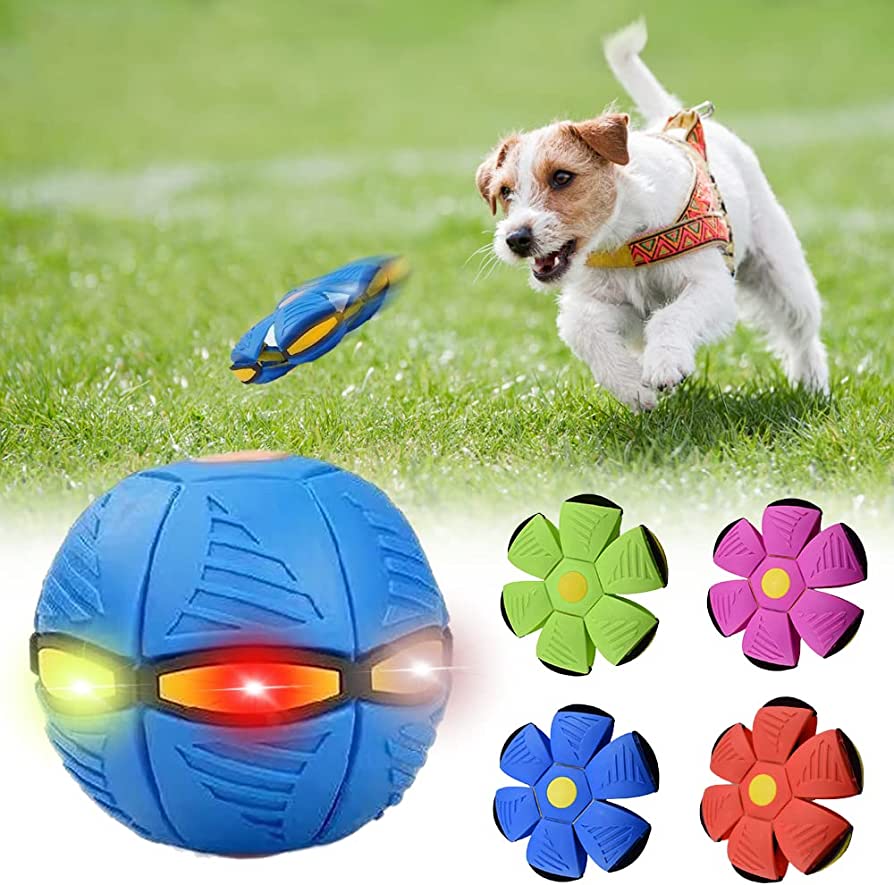 Sniffa™ Dog Frisbee